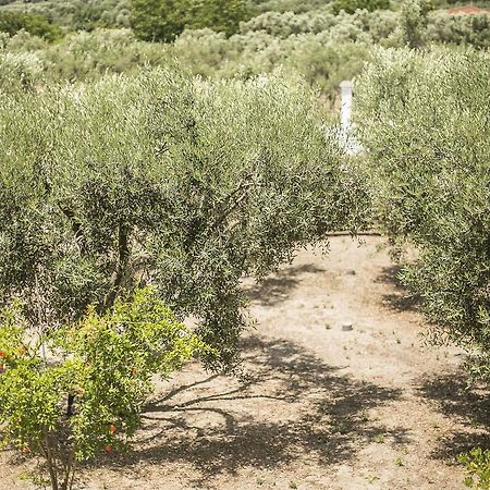 Olive Tree Apartments Fourka Bagian luar foto