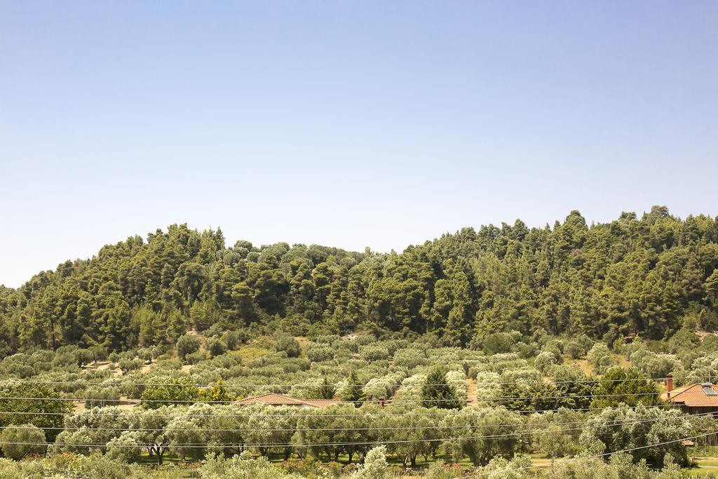 Olive Tree Apartments Fourka Bagian luar foto